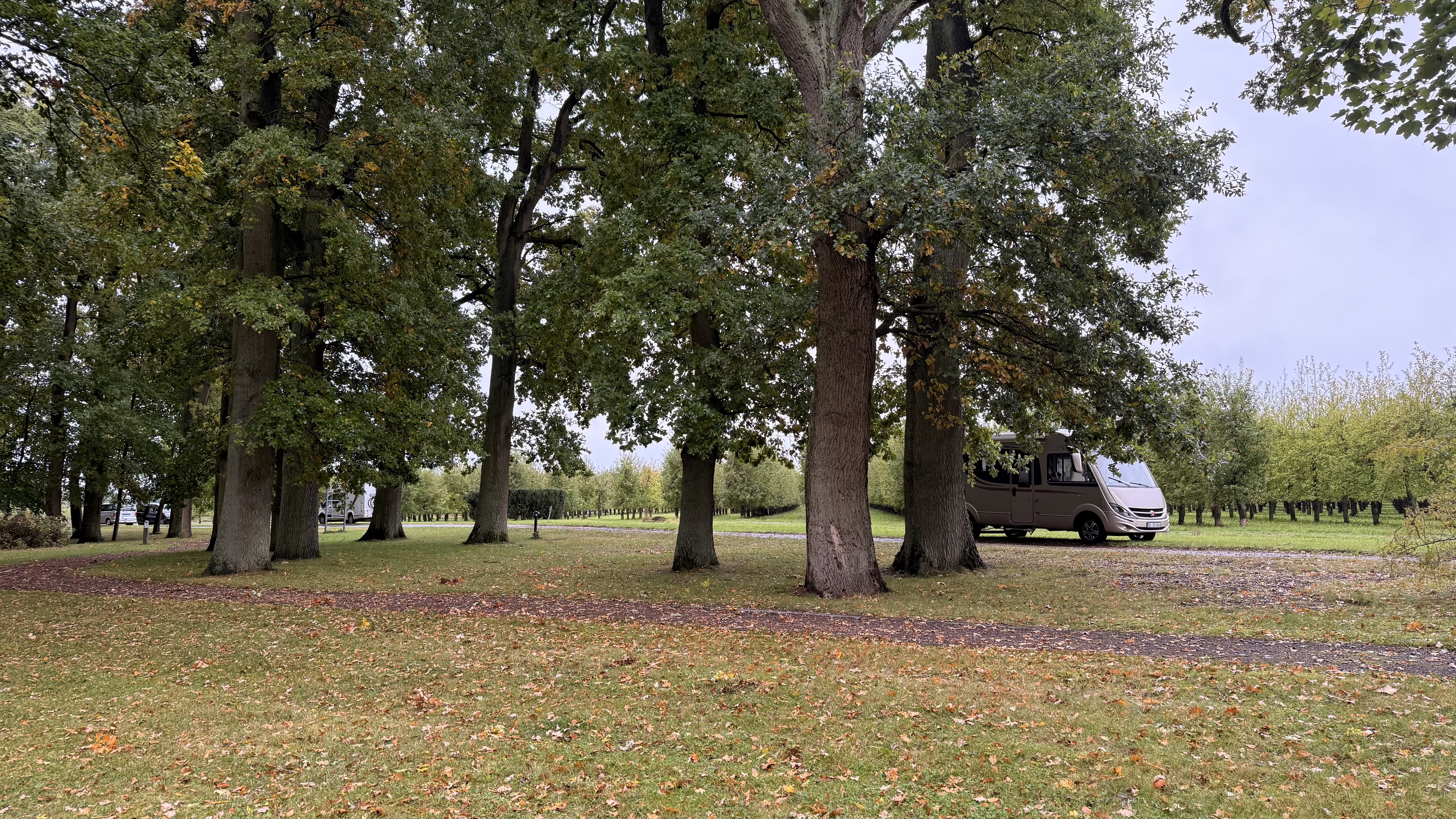 Wohnmobile auf der weitläufigen Wiese am Gut Schwechow, im Hintergrund Bäume
