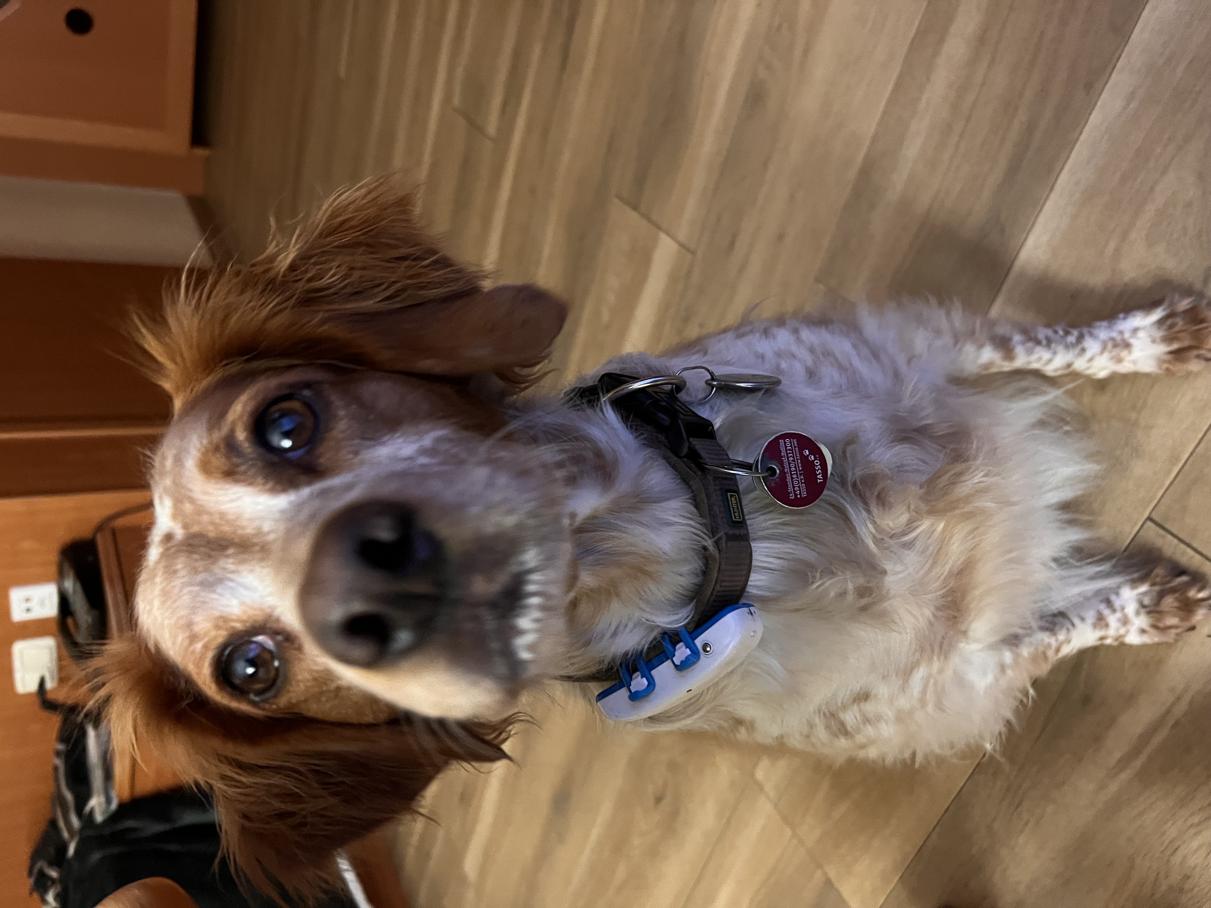 Greta schaut von unten in die Kamera