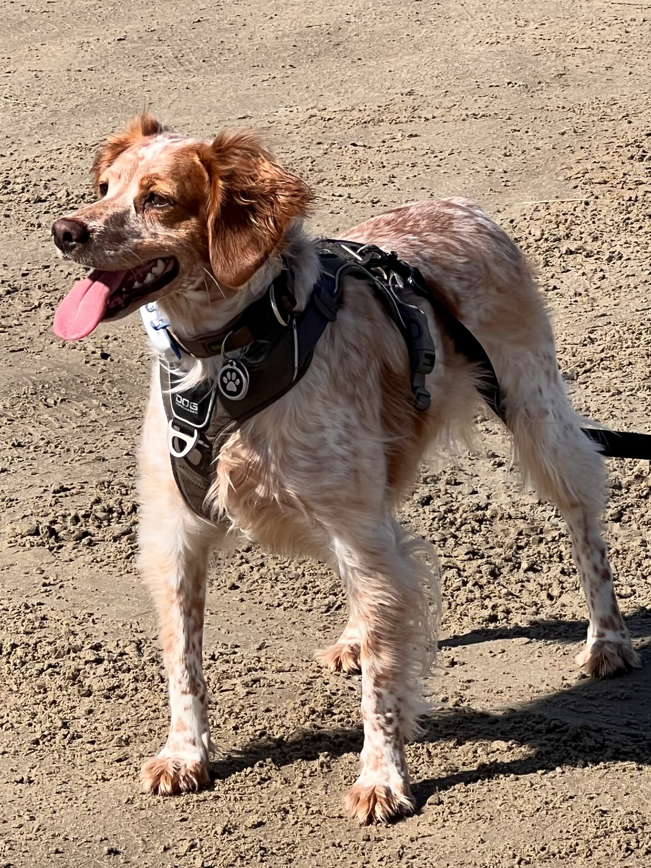 Greta stehend am Strand, lachend