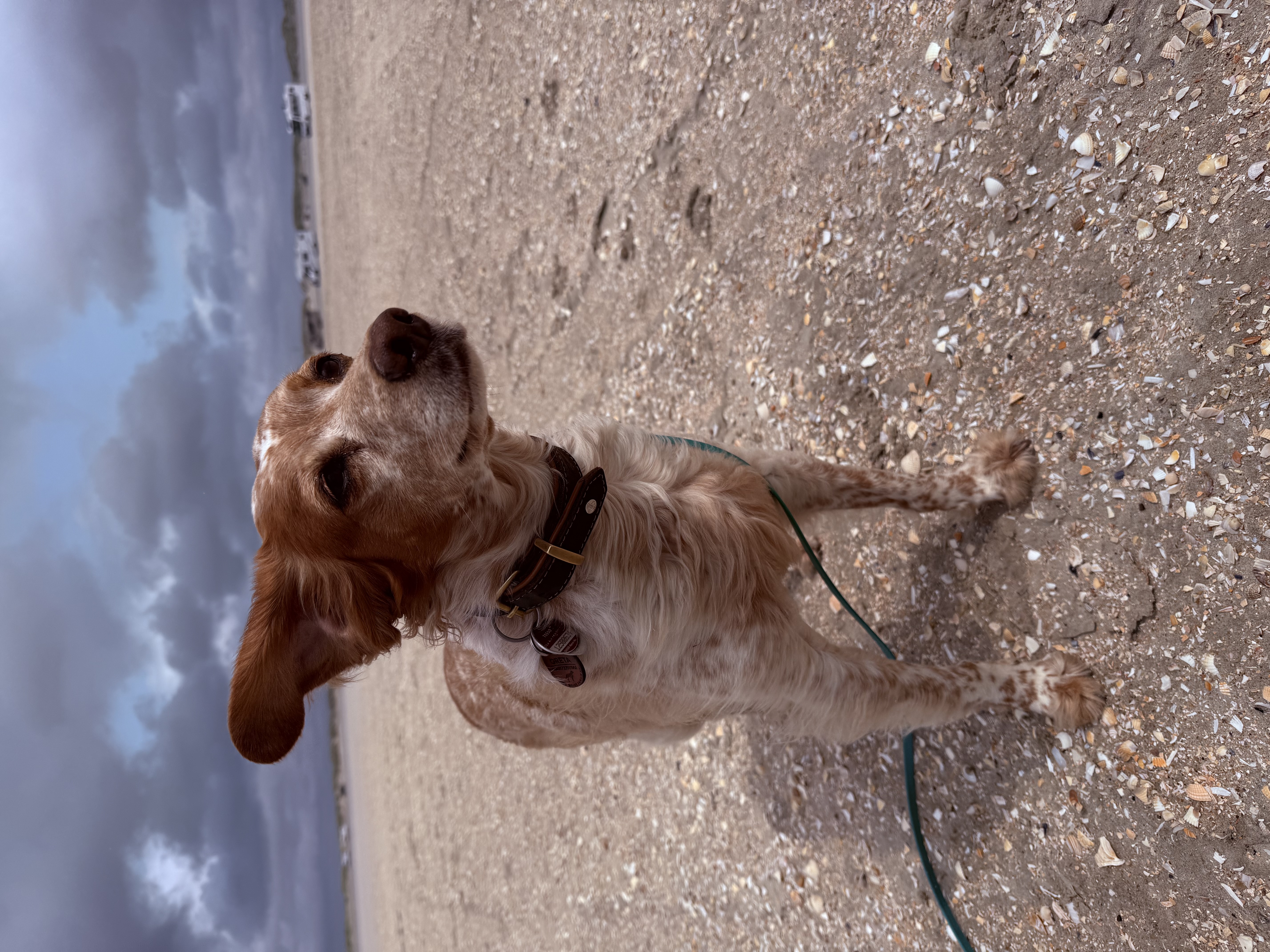 Greta schaut am Strand nach oben in den Himmel