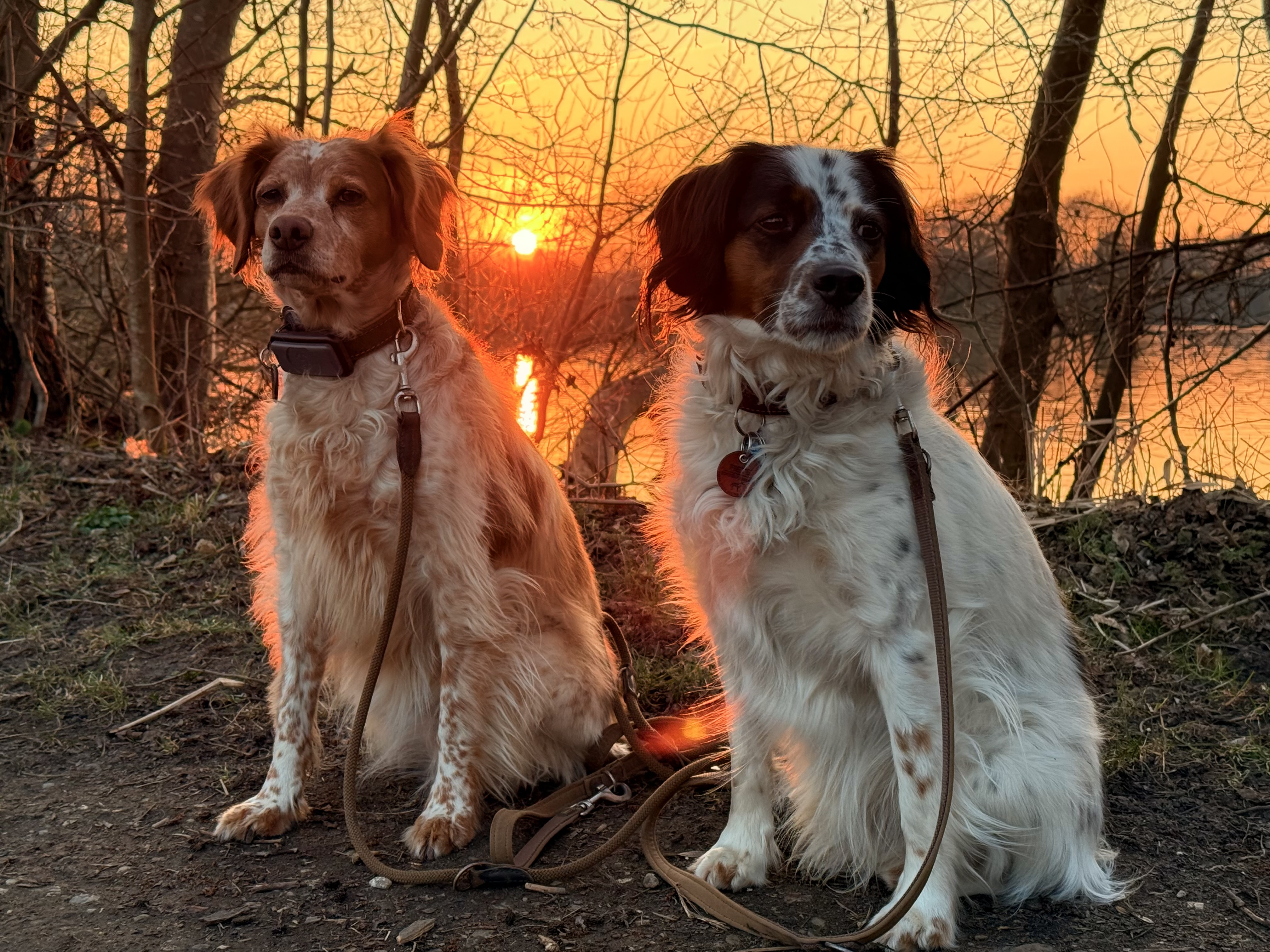 Greta und Fiete sitzen nebeneinander vor einem Sonnenuntergang am Wasser