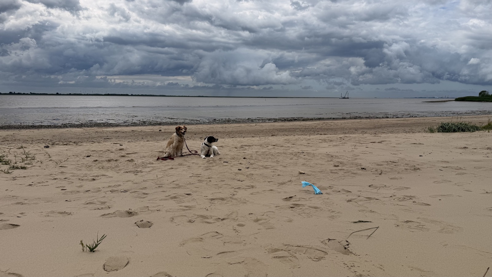 Strand im Kreis Dithmarschen