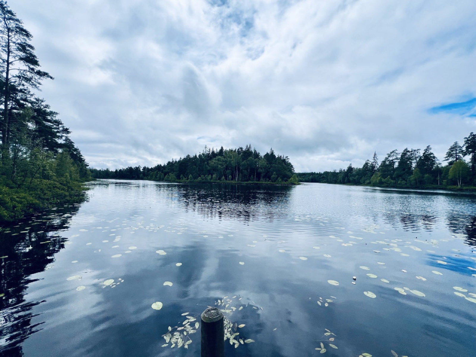 Schwedischer See mit Seerosenblättern und bewaldeter Insel unter Wolkenhimmel