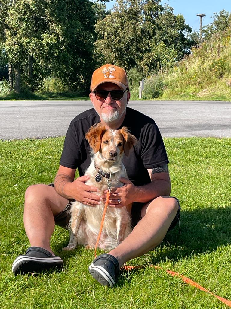Stellplatz Marsk Camp in Skærbæk in Dänemark in der Abendsonne
