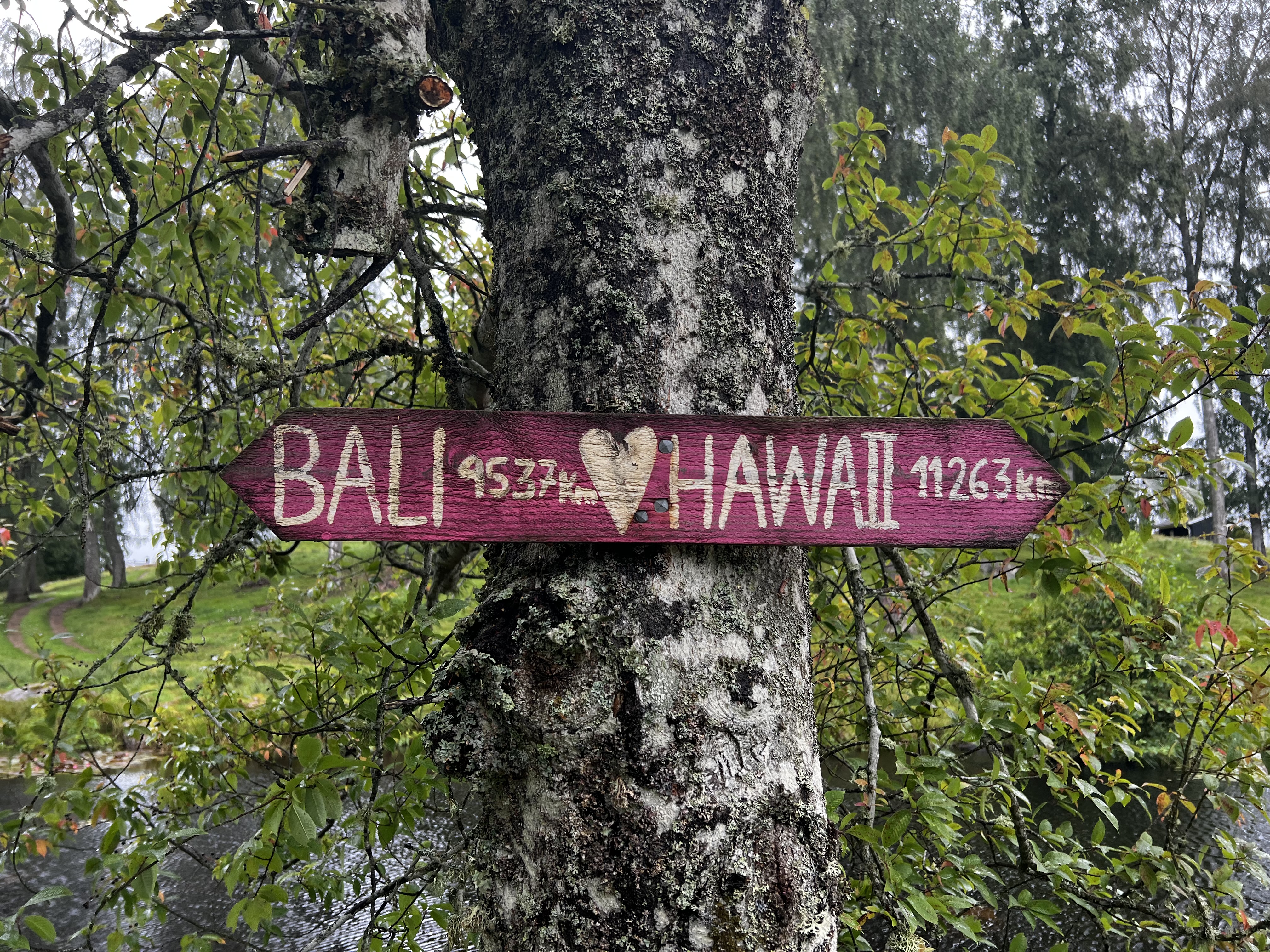 Eremit Stellplatz in Skölvene in Schweden am Waldrand