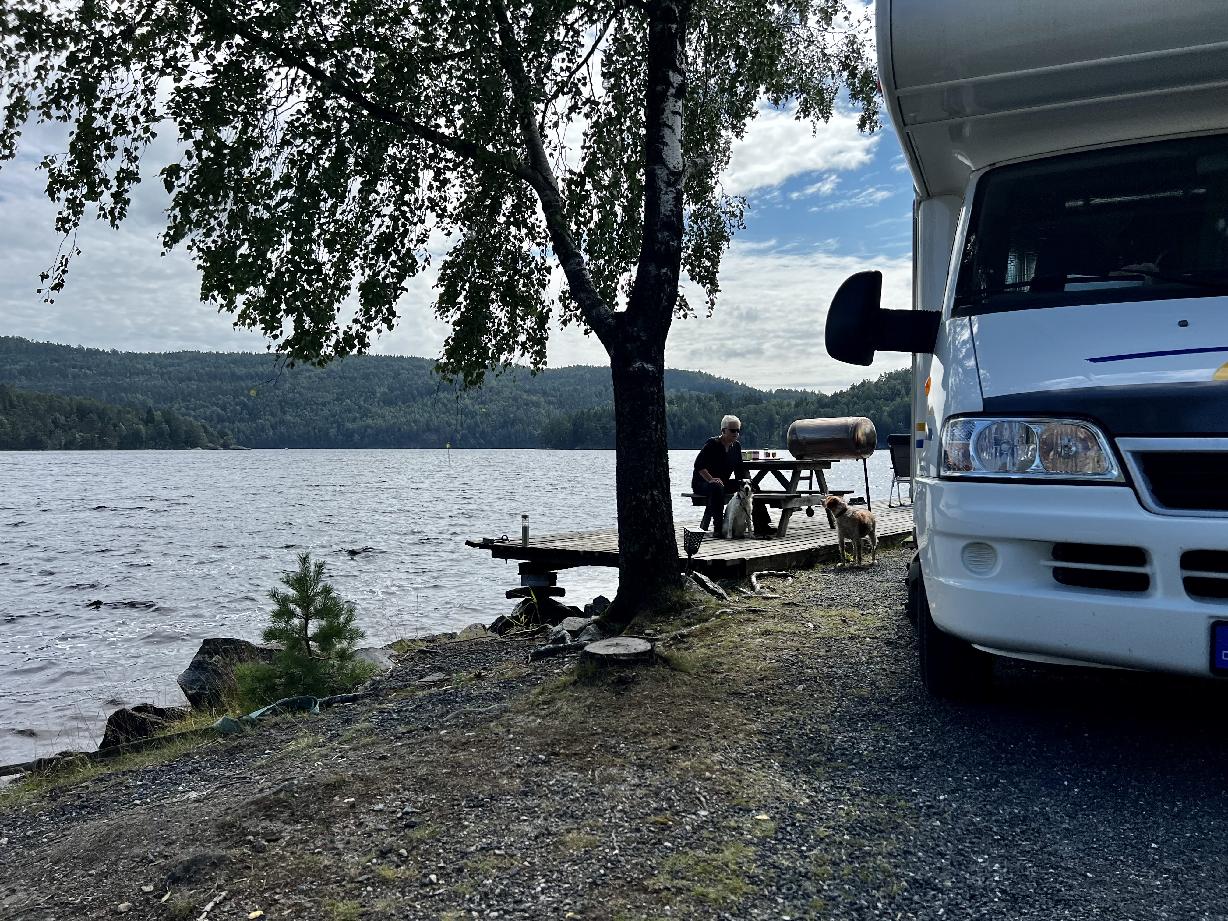 Stellplatz in Tvedestrand in Norwegen mit Wohnmobilen in einer Reihe