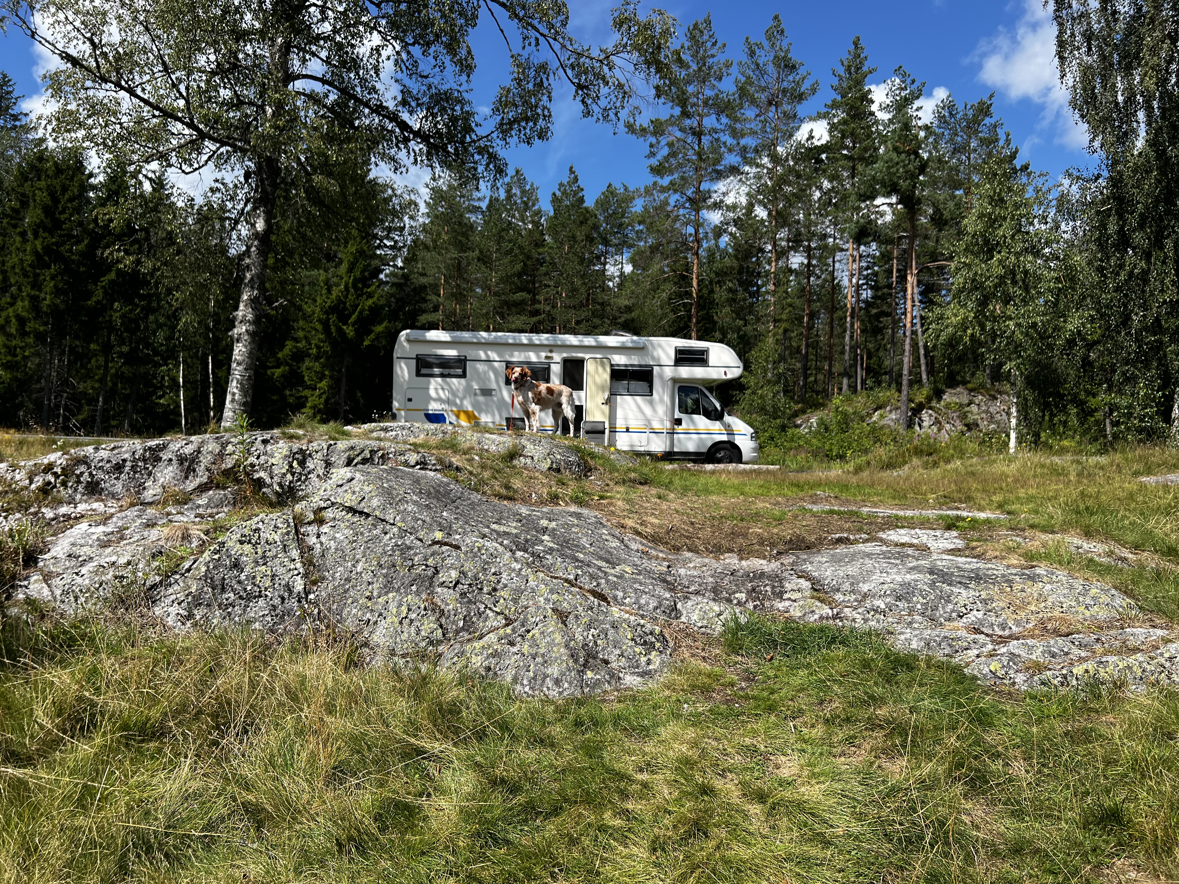 See in Norwegen mit Wald und ruhigem Wasser