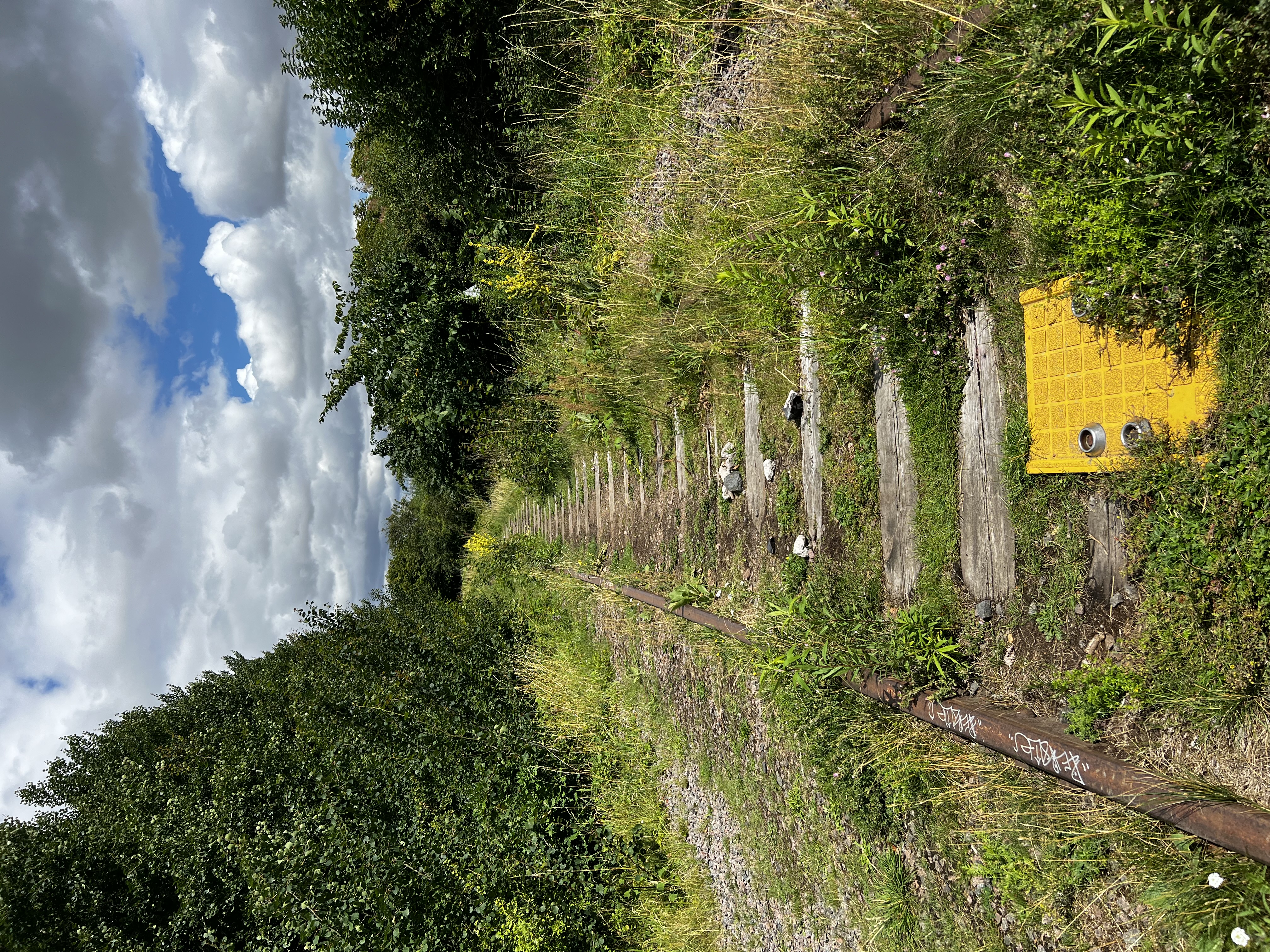 Blick auf die Zirkuswagen und das Gelände bei Tageslicht