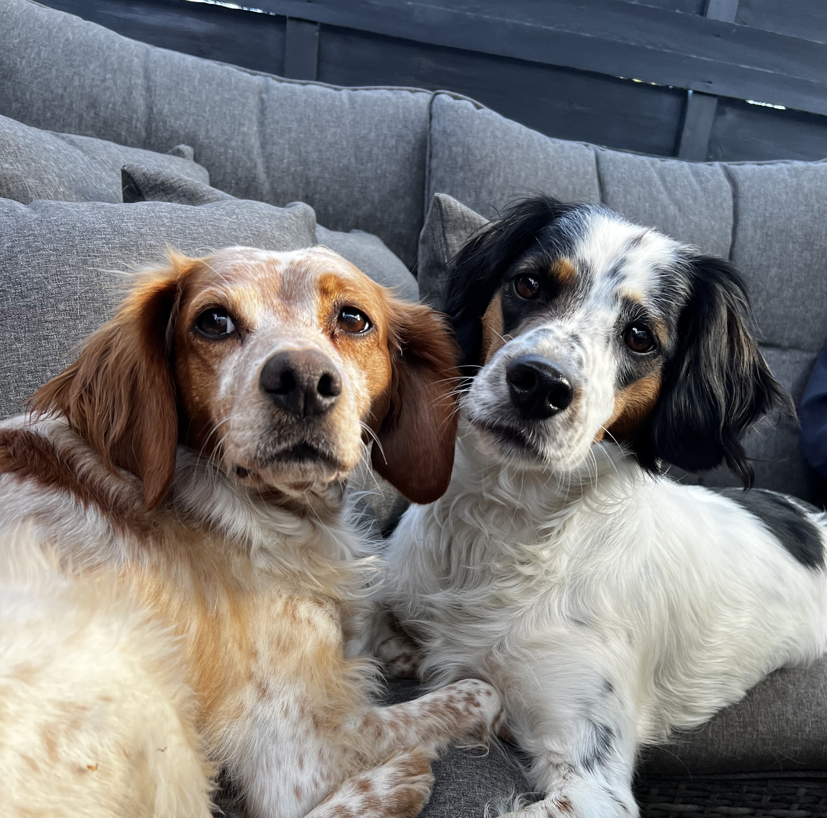 Greta und Fiete auf der Terrasse