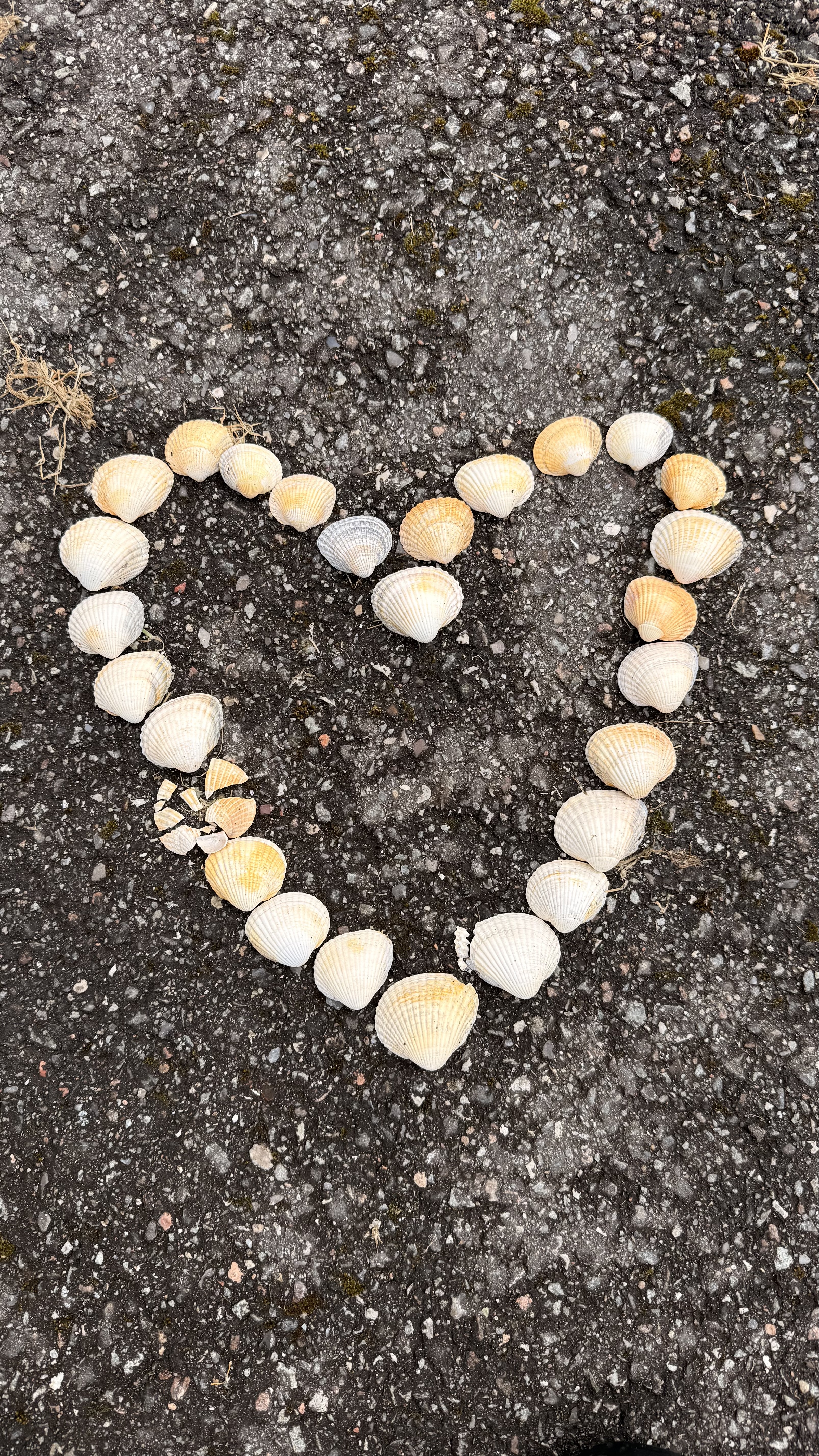 Aus Muscheln gelegtes Herz auf dunklem Strandsand