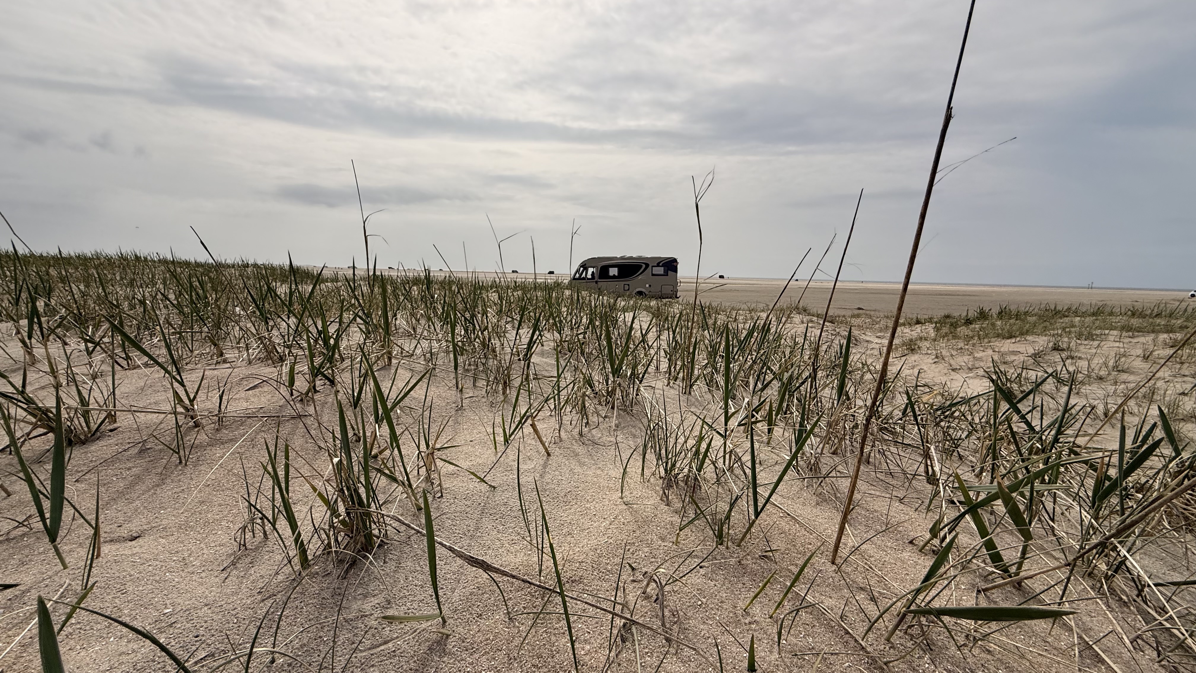 Wohnmobil auf Römö, durch Dünengras gesehen
